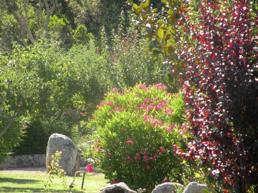 Les Jardins De Santa Giulia Hotell Porto-Vecchio  Eksteriør bilde