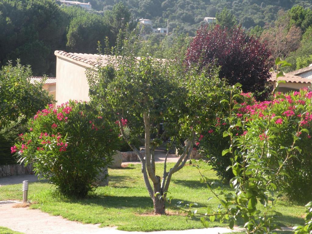 Les Jardins De Santa Giulia Hotell Porto-Vecchio  Eksteriør bilde